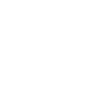 India Electrical