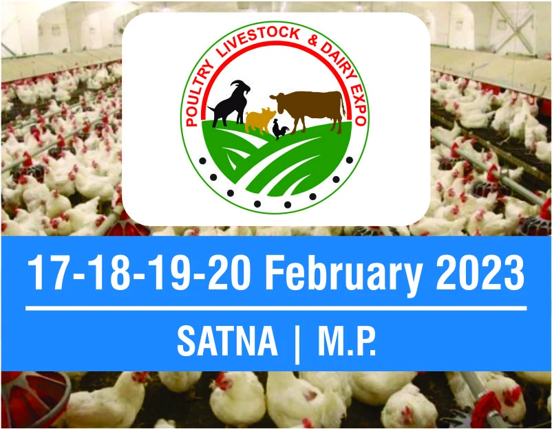 India Electrical show 2023